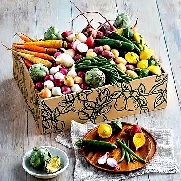 Fruit & Vegs